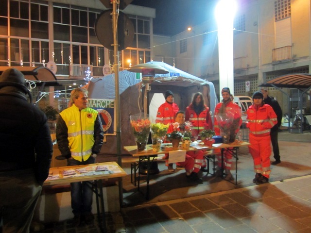 Vendita Stelle Natale